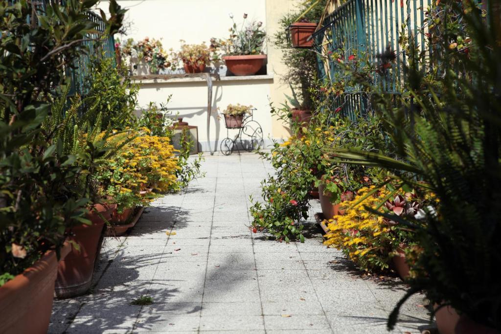 Hotel Stella Elsa Roma Exterior foto